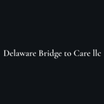 Delaware Bridge To Care LLC