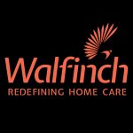 Walfinch