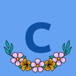 Care Xpert Home Care LLC